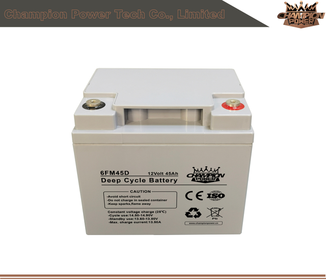 6FM45D 12V45AH Batterie à cycle profond