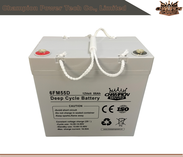 6FM55D 12V55AH Batterie à cycle profond