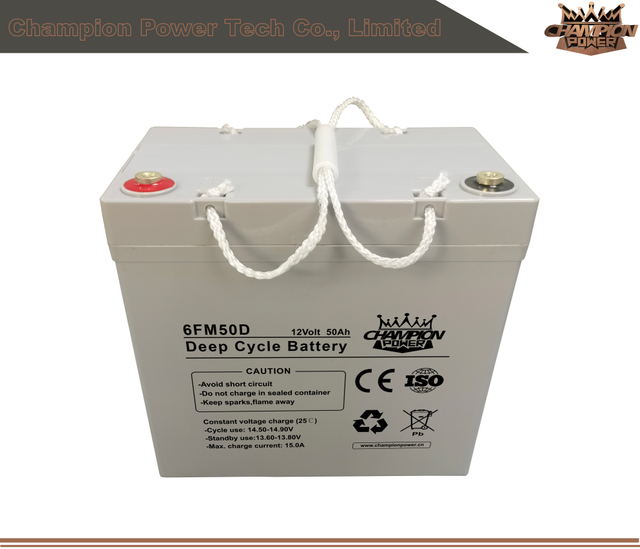 Batterie de cycle profond de 6FM50D 12V50AH