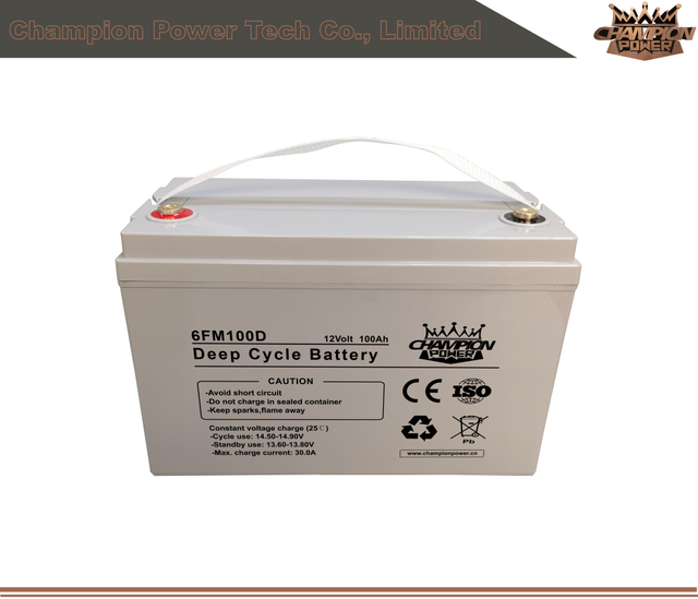 6FM100D 12V100AH Batterie de cycle profond