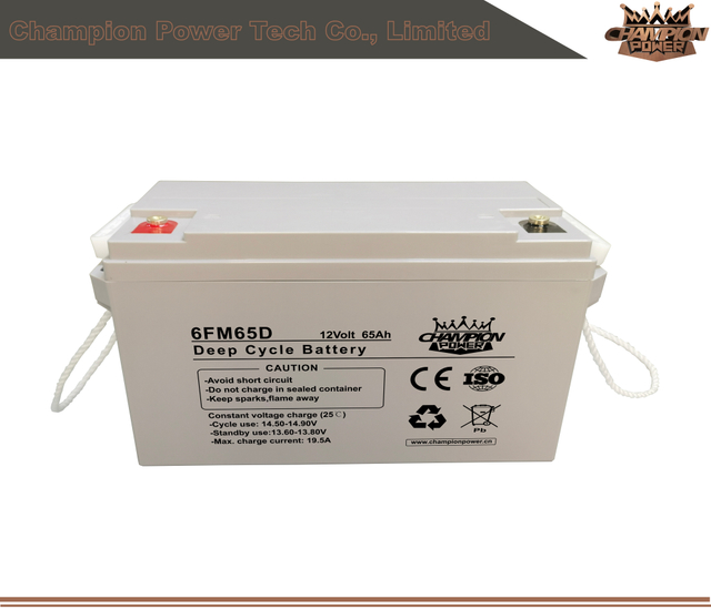 6FM65D 12V65AH Batterie à cycle profond